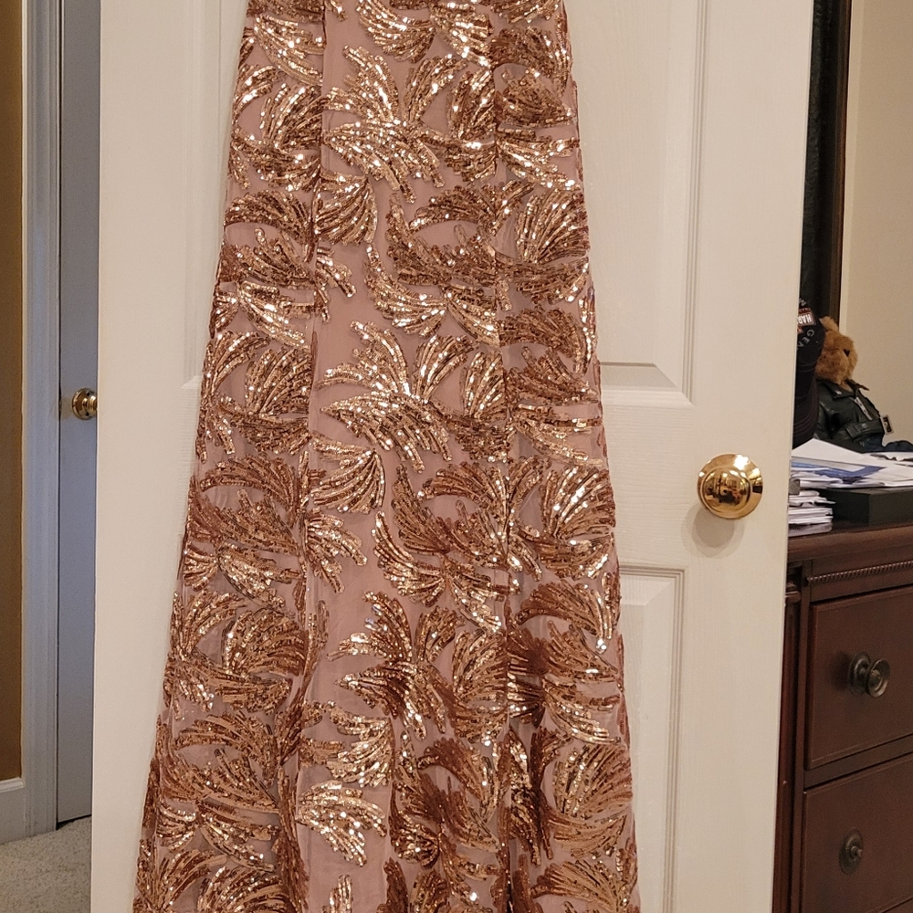 Adrianna Pappell Formal Gown